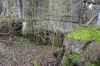 Nische