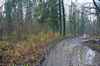 Waldschule