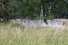 Ruine