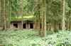 Ruine