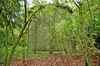 Andere Seite